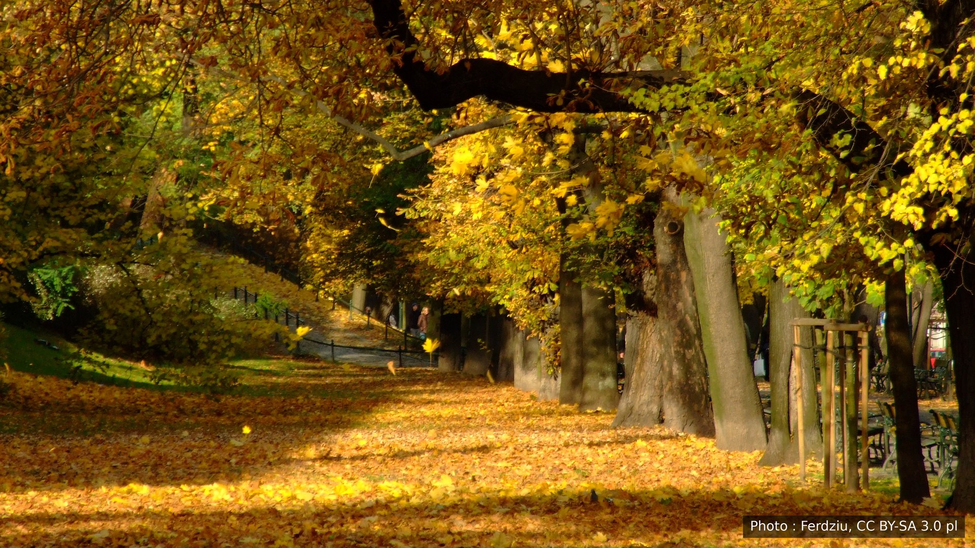 L’automne doré dans le parc des Planty, à Cracovie