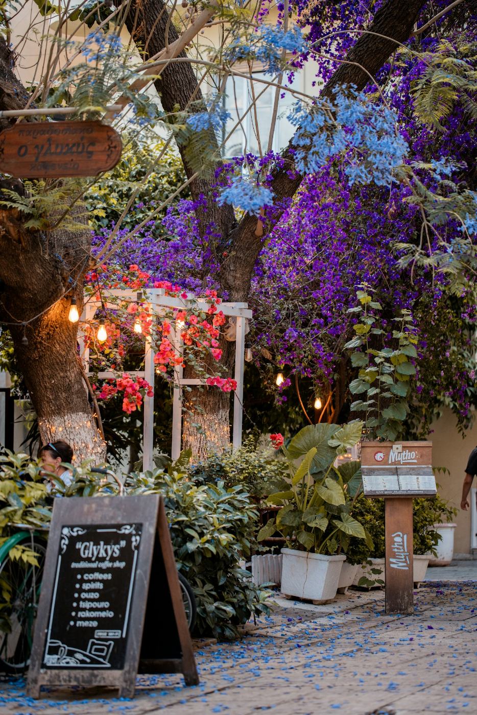 L'entrée d'un café sous une cascade de bougainvilliers