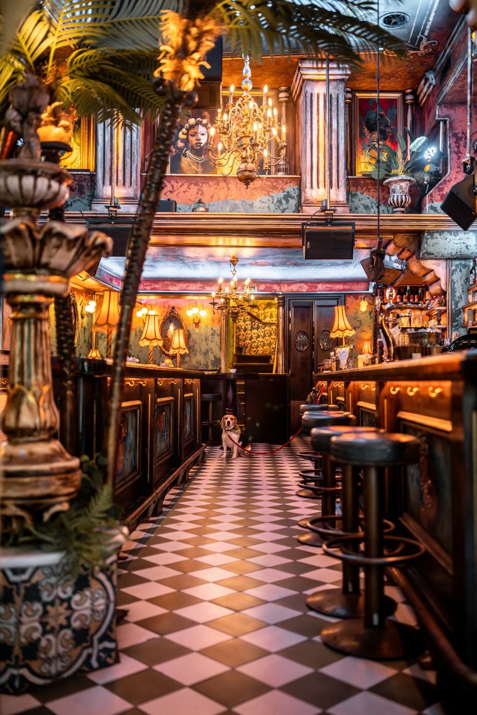L'un des bars à cocktails les plus beaux du centre